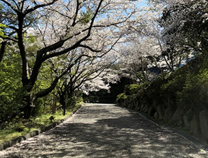 写真：奥萩展望台1