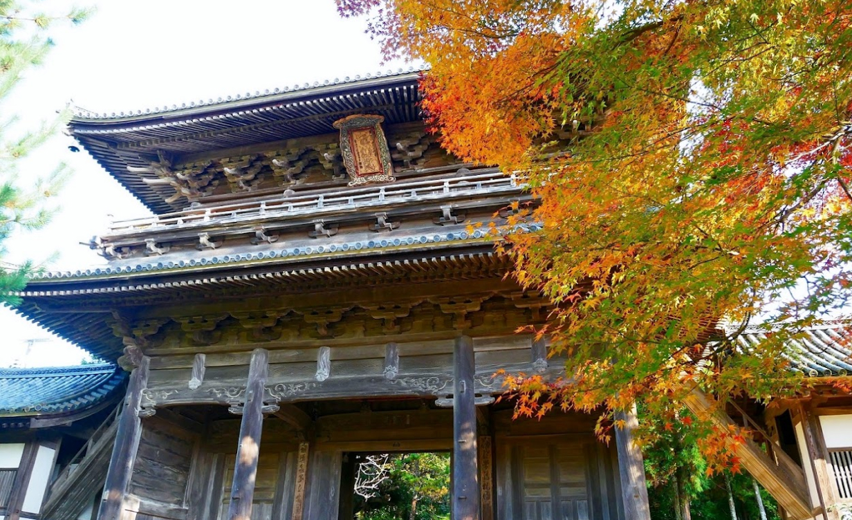 画像：萩の風景6