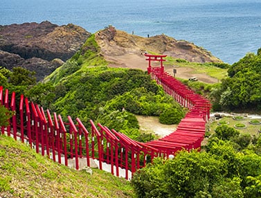 写真：元乃隅神社